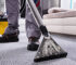 How to maintain and clean your carpet?