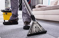 How to maintain and clean your carpet?